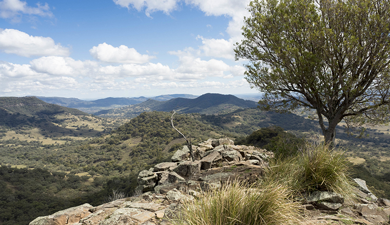 Scene overlooking the rocky landscape and bushland of the Warrumbungles National Park